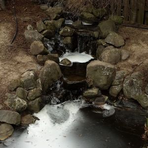 Meet your Posher, Bridget